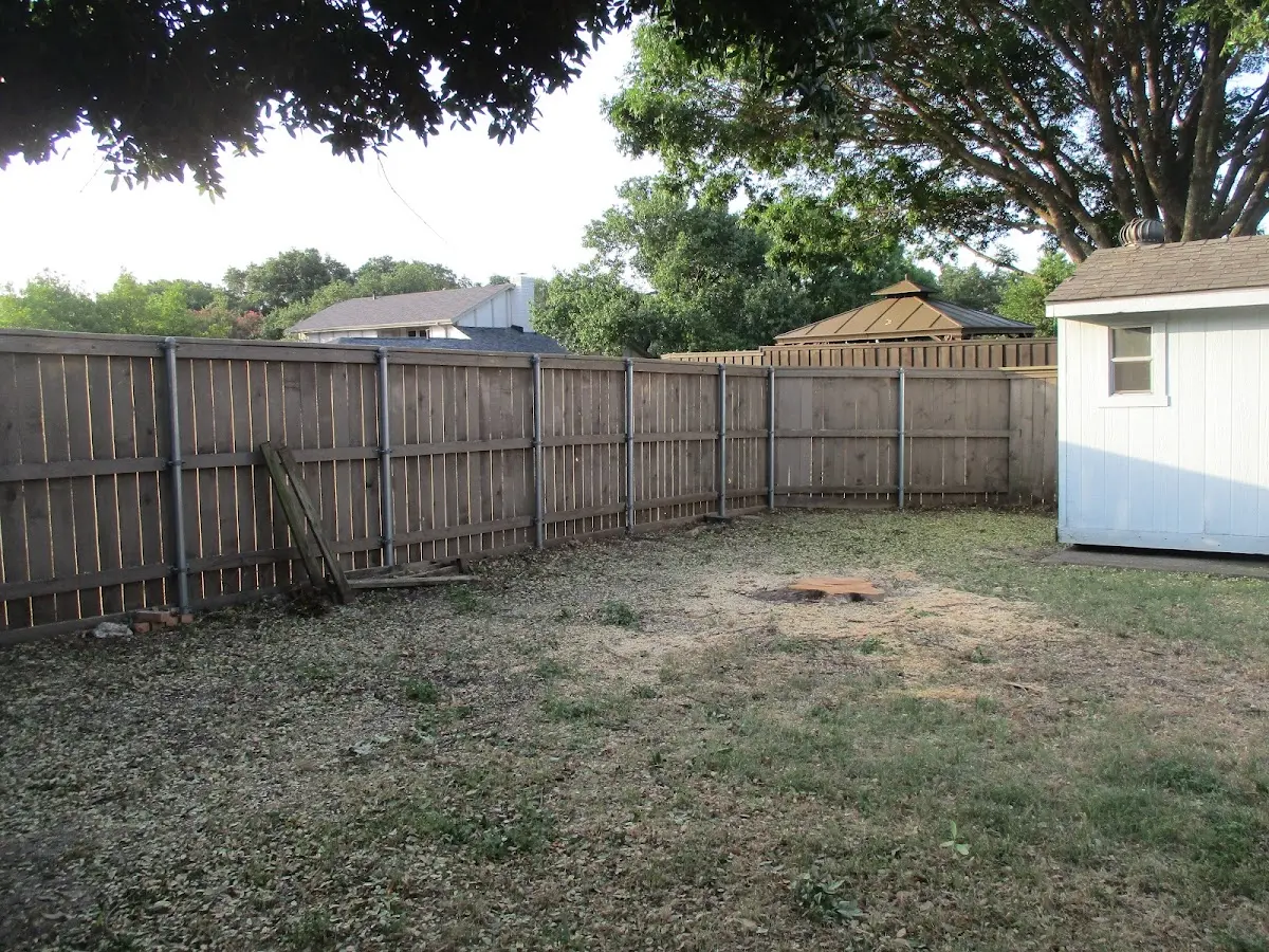 Cleared yard after professional tree removal in Mary Alice