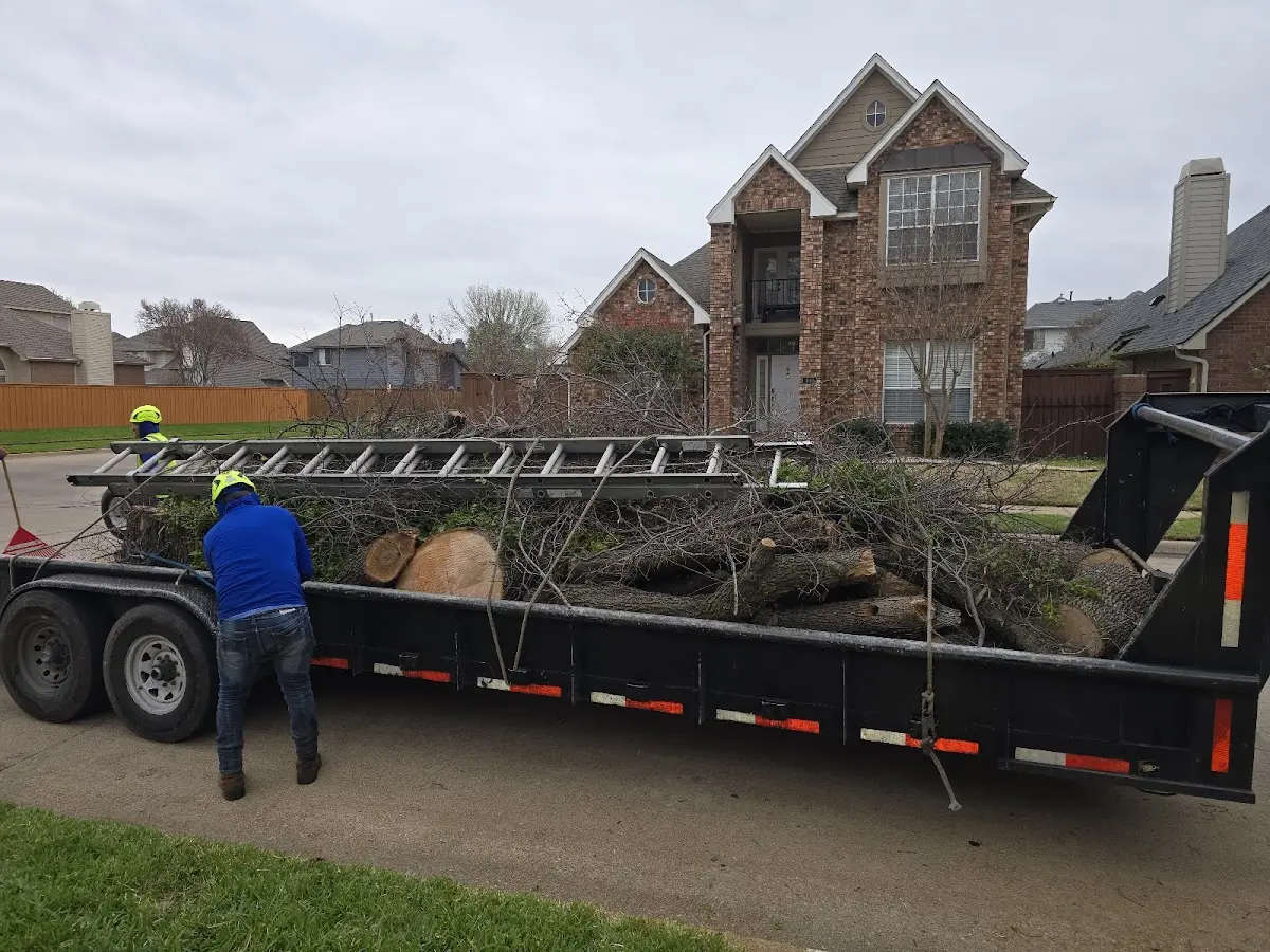 Expert Tree Fertilization with proper safety equipment in Mary Alice